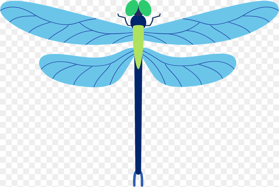 Dragonfly Clipart, Animal, Insect, Invertebrate, Fish Png Image