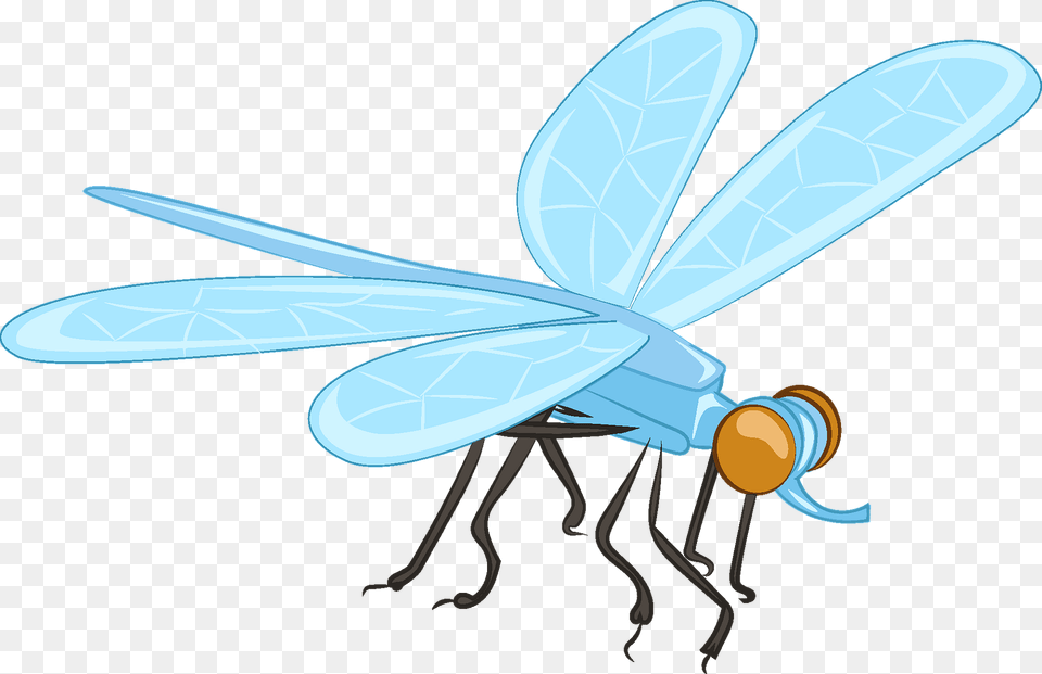 Dragonfly Clipart, Animal, Insect, Invertebrate, Appliance Free Png Download