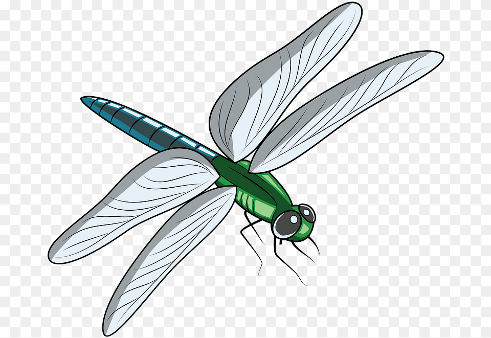 Dragonfly Clipart Free Download Transparent Creazilla Clipart Of Dragonfly, Animal, Insect, Invertebrate, Blade Png Image