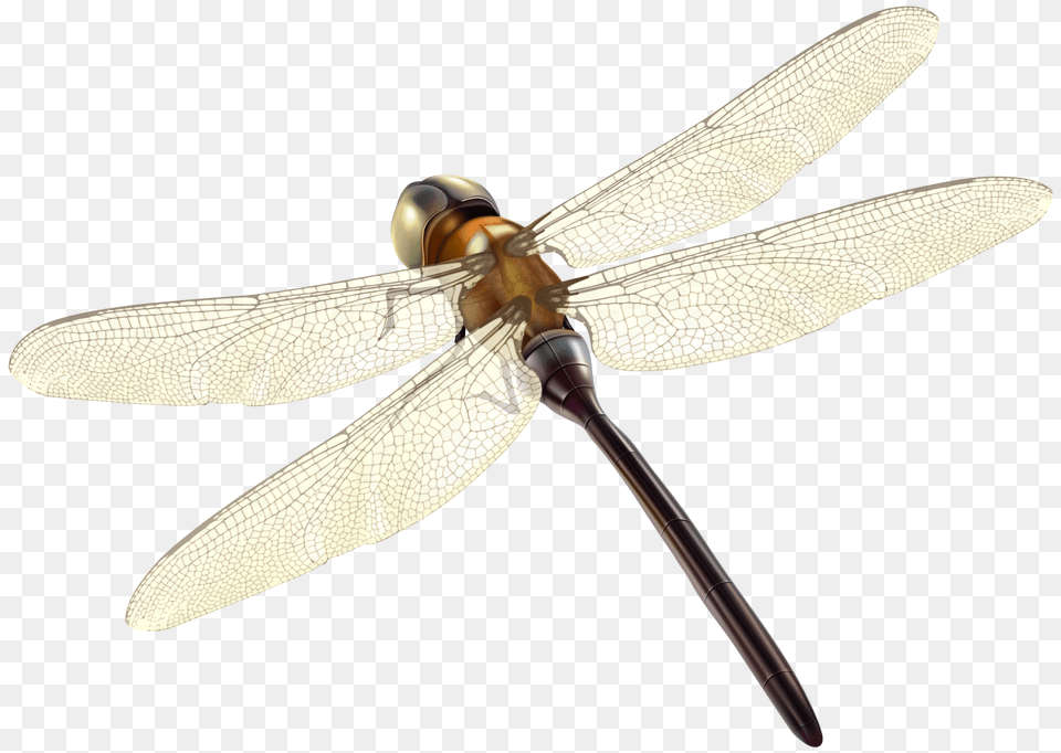 Dragonfly Clipart Photo Images Damselfly, Animal, Insect, Invertebrate, Appliance Free Png Download