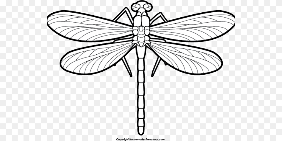 Dragonfly Clipart Scroll Dragonfly Black And White Clip Art, Animal, Insect, Invertebrate Png