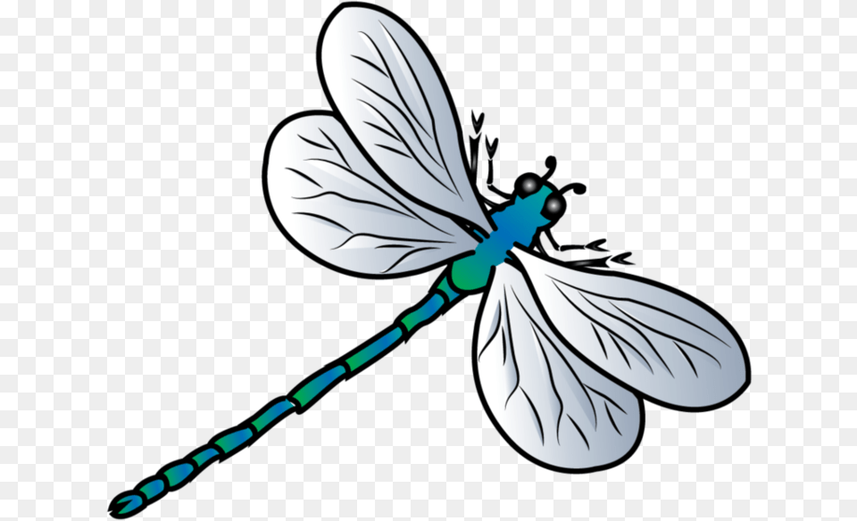 Dragonfly Clipart Transparent Dragonfly Clipart, Animal, Insect, Invertebrate, Person Free Png