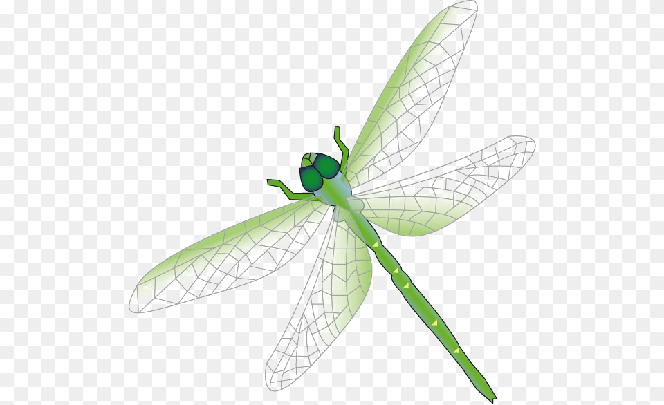 Dragonfly Download Arts, Animal, Insect, Invertebrate, Appliance Free Png
