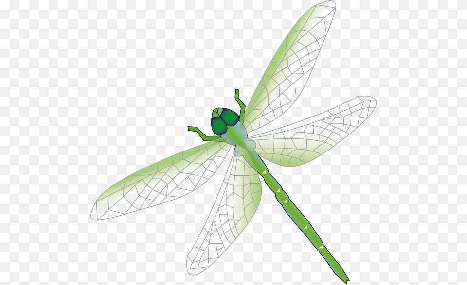 Dragonfly Free Download Dragon Fly Clipart, Animal, Insect, Invertebrate Png