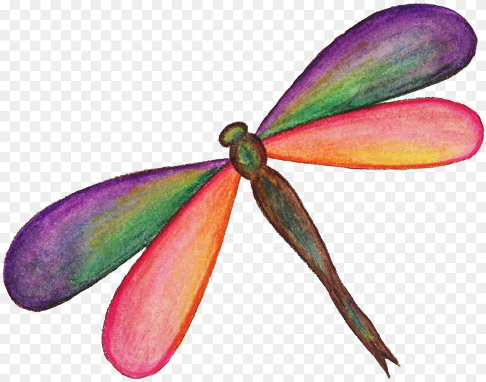 Dragonfly Hd, Animal, Insect, Invertebrate Png Image