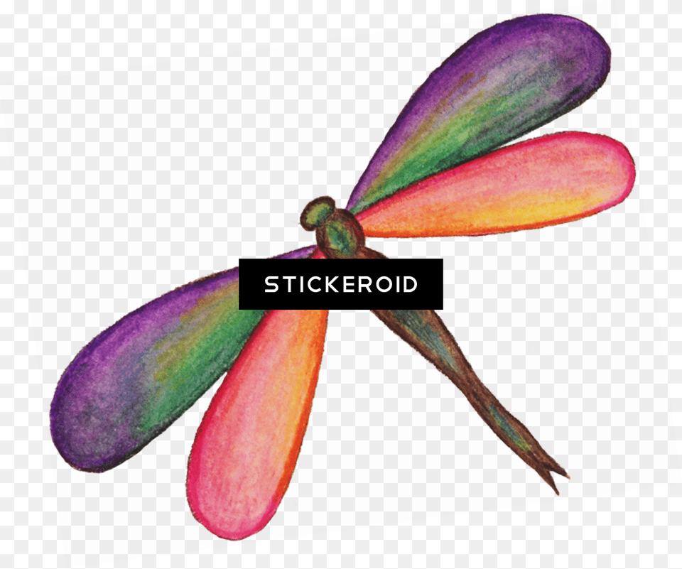 Dragonfly Hd Insects Net Winged Insects, Animal, Insect, Invertebrate, Bee Free Png Download