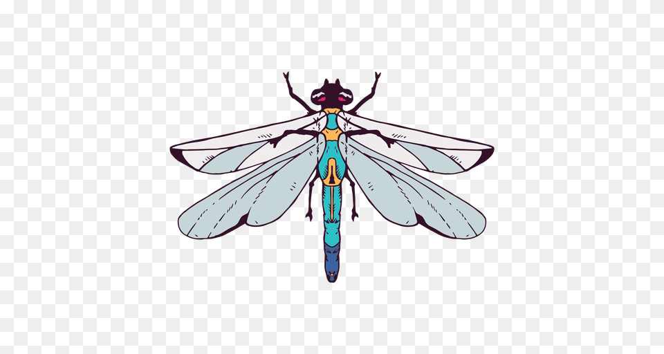 Dragonfly Illustration, Animal, Bee, Insect, Invertebrate Png Image