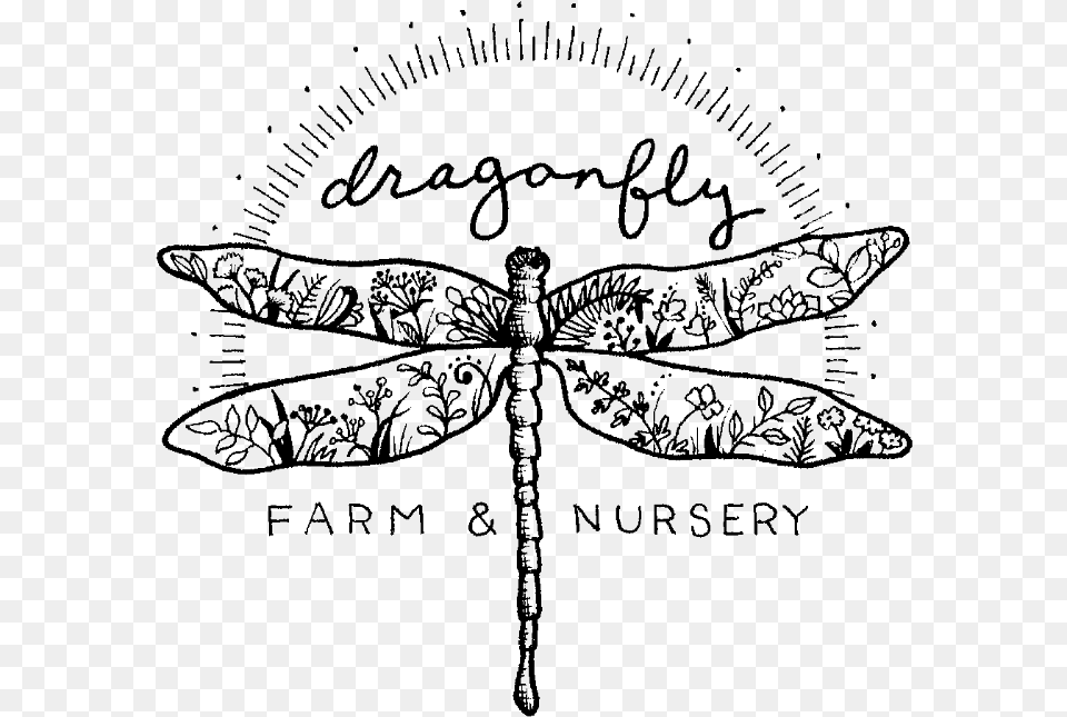 Dragonfly In Text, Gray Free Png Download