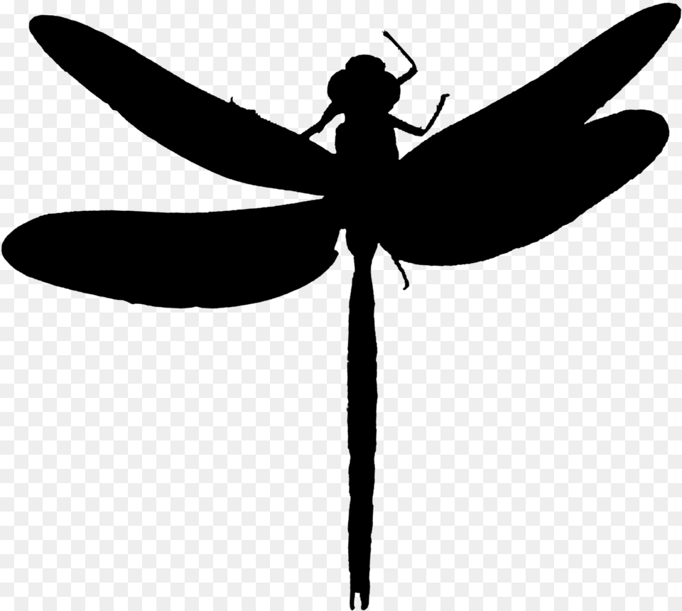 Dragonfly Insect Clip Art Line Silhouette Net Winged Insects, Gray Png Image