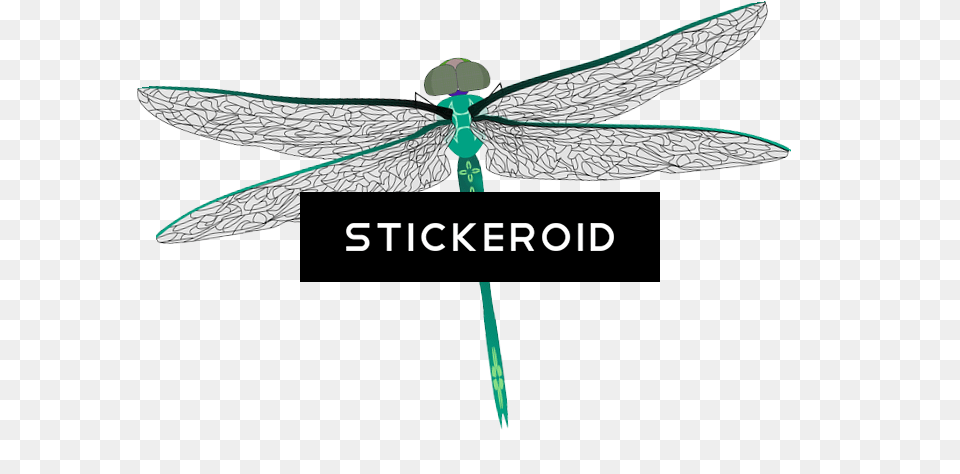 Dragonfly Insects Dragonfly, Animal, Insect, Invertebrate, Appliance Free Png Download