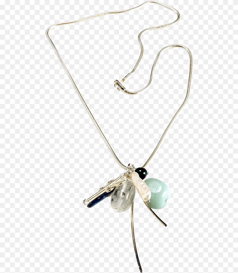 Dragonfly Locket, Accessories, Jewelry, Necklace, Gemstone Png Image