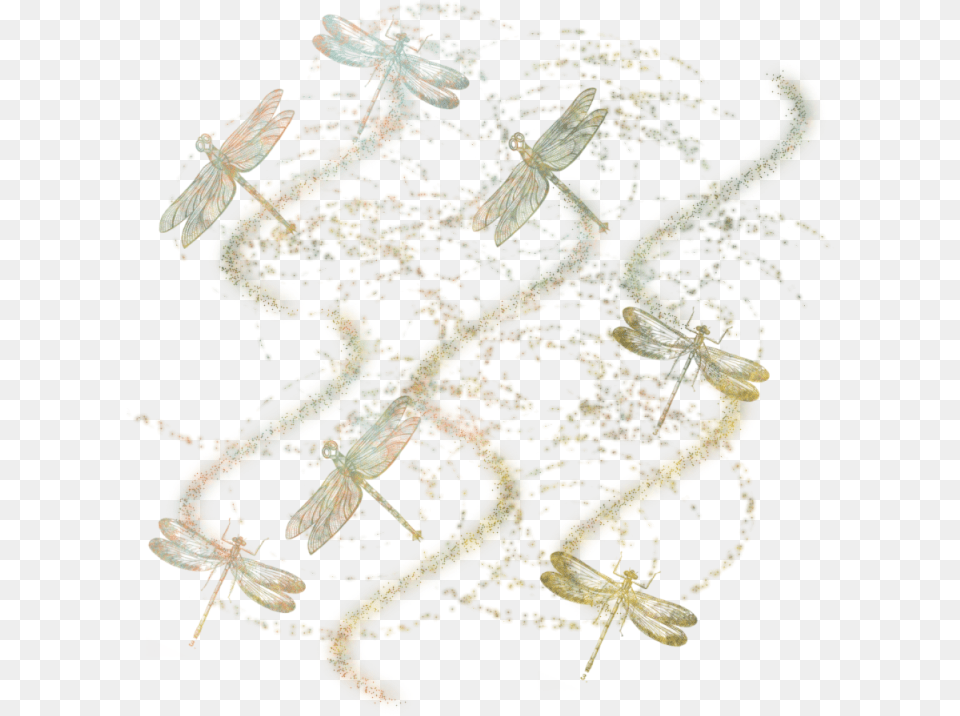 Dragonfly Masked Texture 800 X Net Winged Insects, Person, Art Png Image