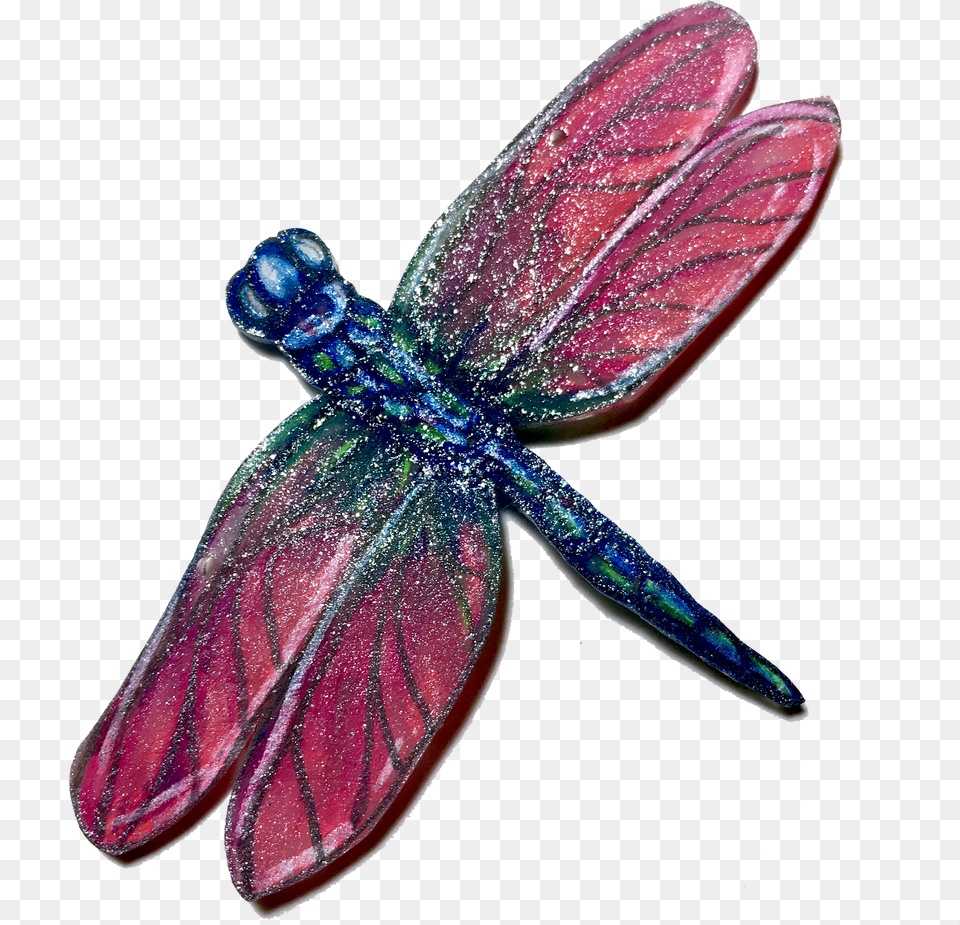 Dragonfly No Background Dragonfly, Adult, Portrait, Photography, Person Png