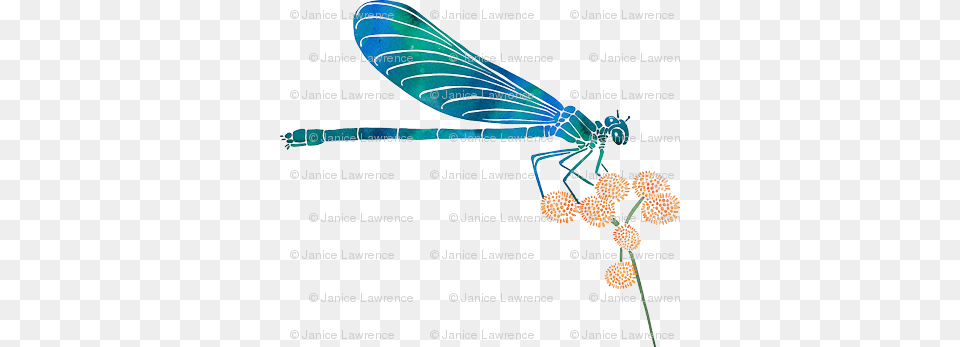 Dragonfly On Yellow Flowers Diagram, Animal, Insect, Invertebrate Png