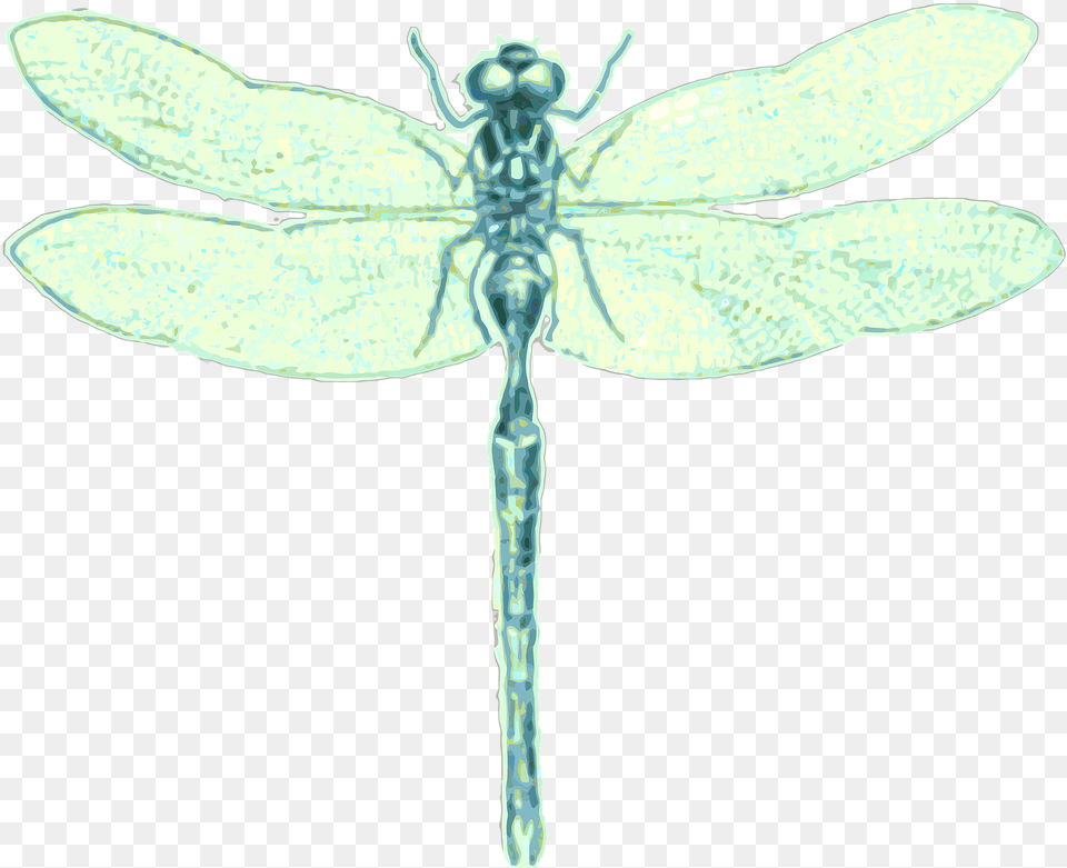Dragonfly Order Odonata Insect Image On Pixabay Dragonfly, Animal, Invertebrate Free Png