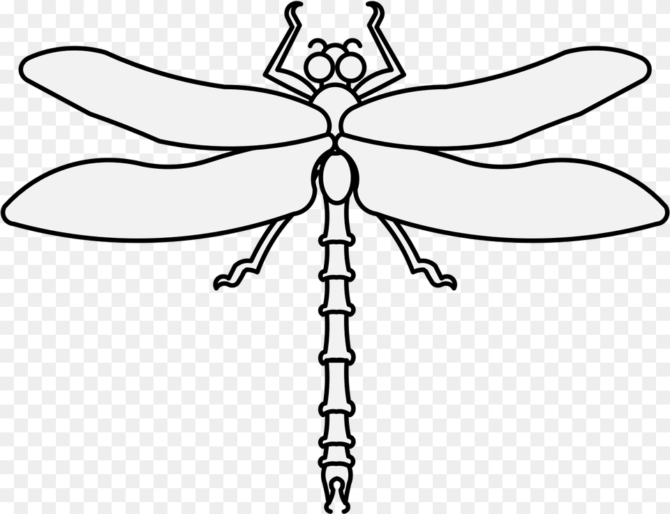 Dragonfly Pdf, Invertebrate, Animal, Insect, Knife Free Png