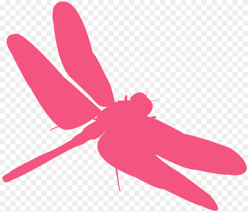 Dragonfly Silhouette, Animal, Insect, Invertebrate, Fish Png