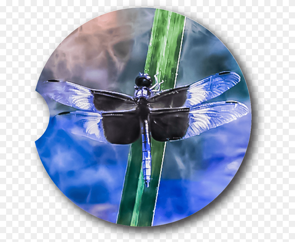 Dragonfly Sky Sandstone Car Coaster Dragonfly, Animal, Insect, Invertebrate Png