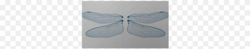 Dragonfly Wings, Animal, Insect, Invertebrate, Appliance Free Png Download