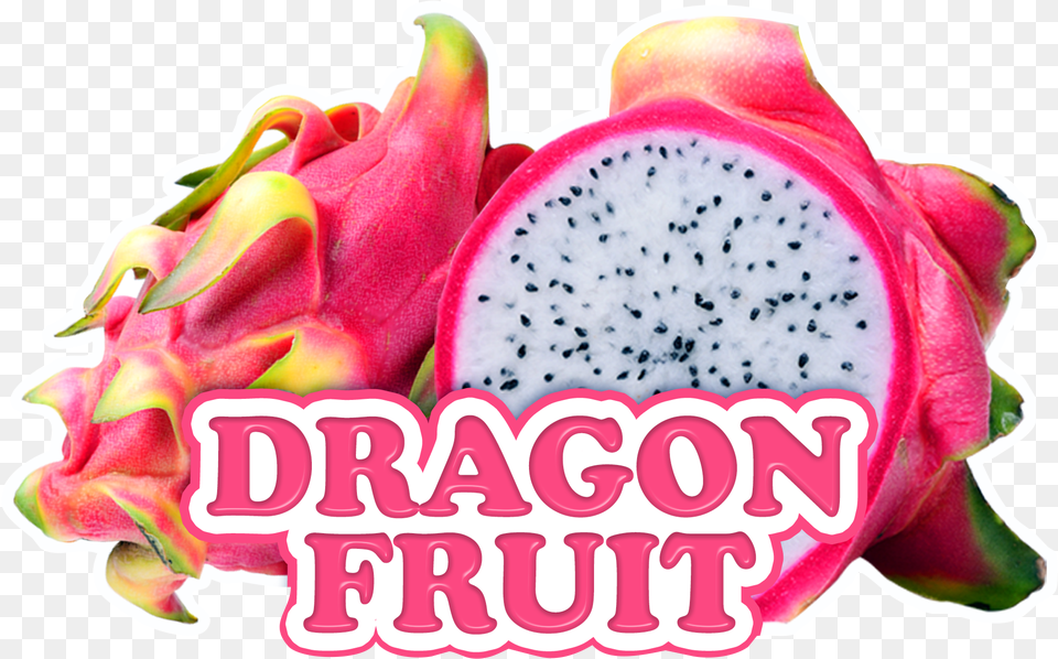 Dragonfruit Bowldecal 6o625x4o125 Pitaya, Food, Fruit, Plant, Produce Png Image