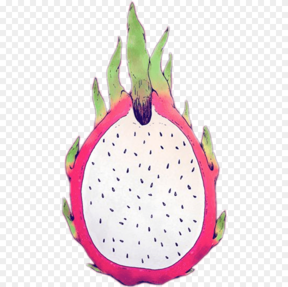 Dragonfruit Fruit Summer Pink Green White Fresh Dragonfruit, Food, Plant, Produce Png