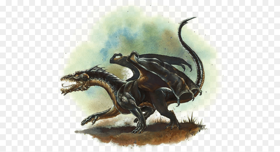 Dragons Dampd 5e Black Dragon Wyrmling, Animal, Dinosaur, Reptile Png