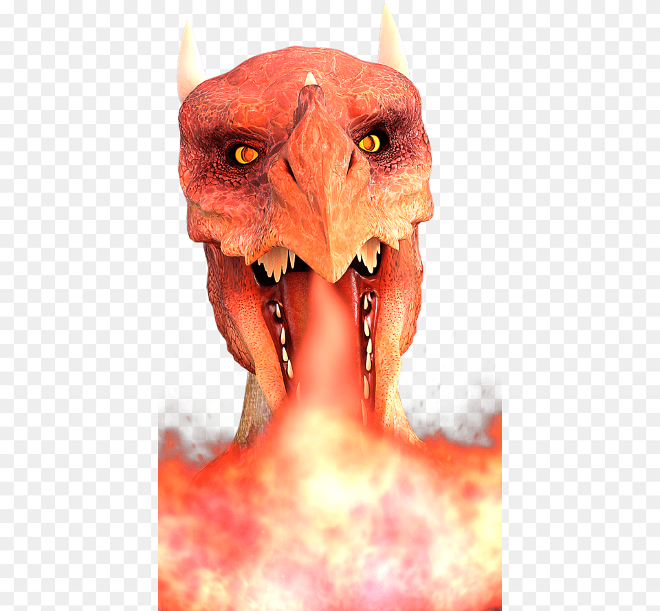 Dragonsfiredragon Firemythical Creaturesfire Breathing Dragon Fire Logo, Animal, Bird Png Image