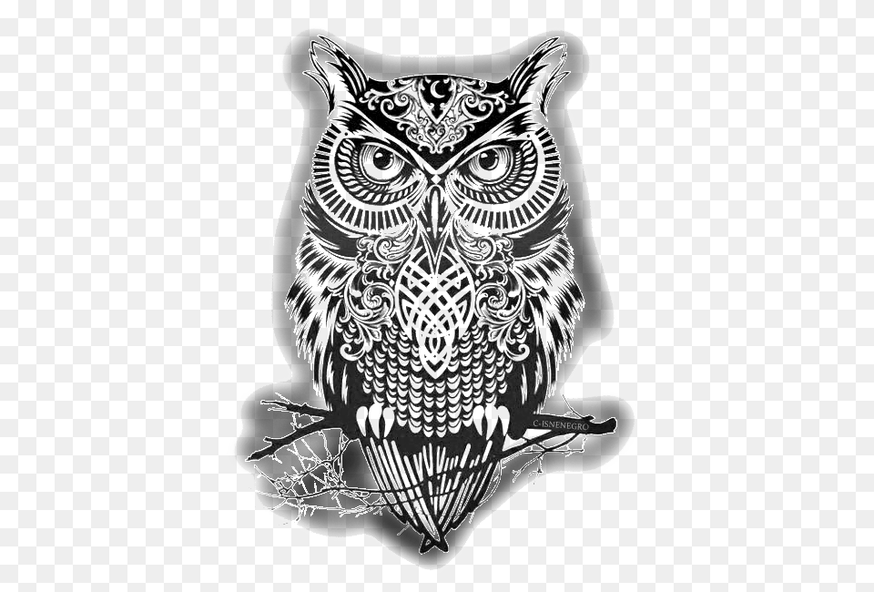 Dragsig Owl Society6 Warrior Owl 2 Couch Throw Pillow Small, Smoke Pipe, Art, Drawing Free Transparent Png