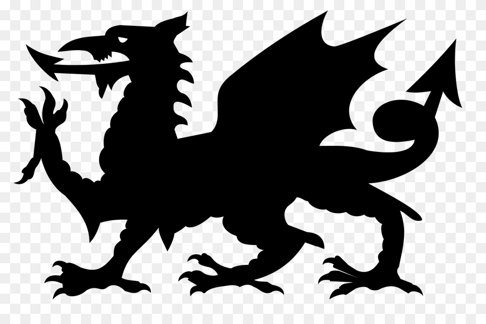 Draig, Gray Png