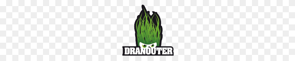 Dranouter Festival, Aquatic, Grass, Green, Plant Free Png Download