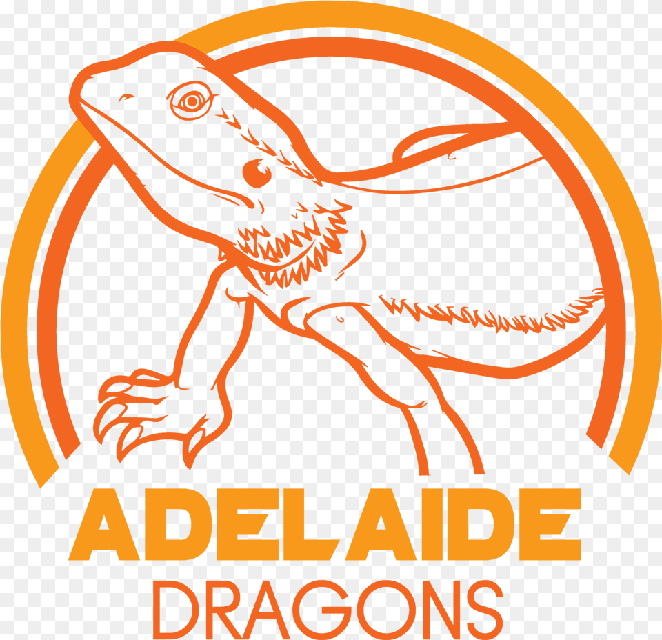 Draw A Bearded Dragon Lizard Colouring, Person, Animal, Gecko, Reptile Free Png