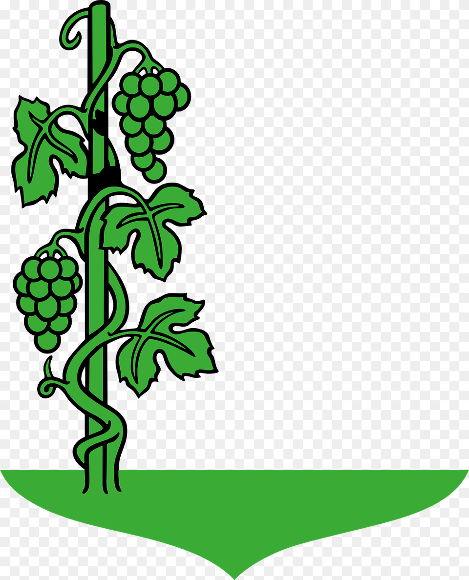 Draw A Grape Tree, Food, Fruit, Grapes, Plant Free Png