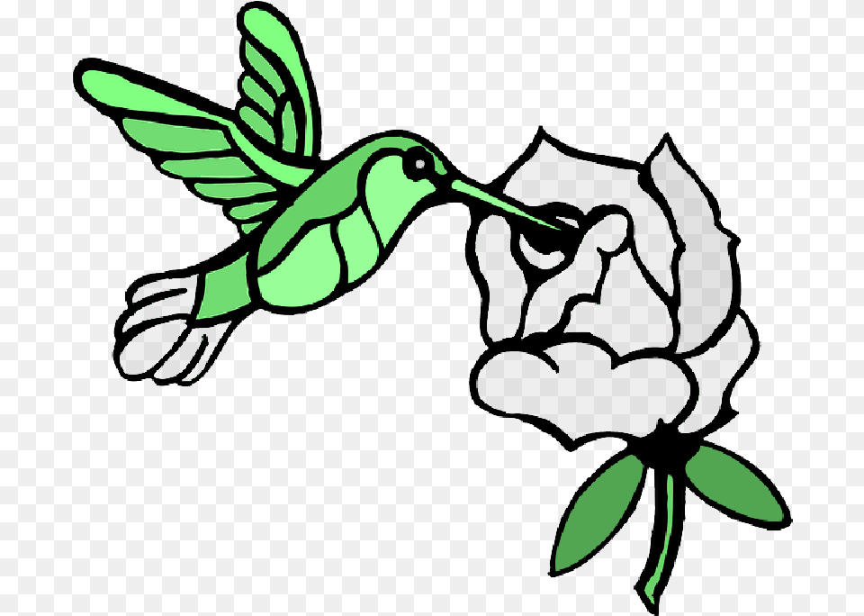 Draw A Hummingbird Download Draw A Hummingbird Hummingbirds And Flowers Drawings, Animal, Bird, Baby, Person Free Png