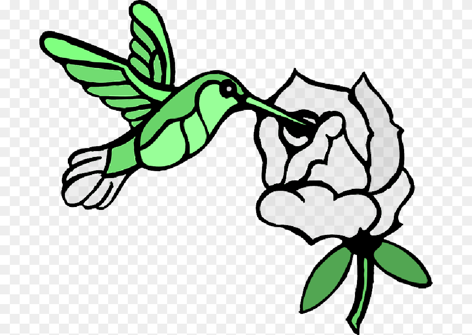 Draw A Hummingbird Draw Hummingbirds And Flower, Animal, Bird, Leaf, Plant Free Png