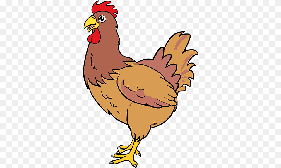 Draw Clipart Hen Chicken Drawing Clear Background, Animal, Bird, Fowl, Poultry Png Image