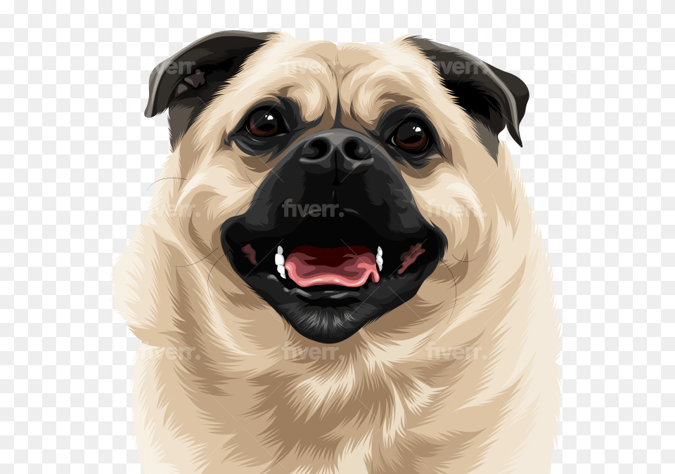 Draw High Quality Vector For Your Pet Or Any Animals Happy, Animal, Canine, Dog, Mammal Free Transparent Png