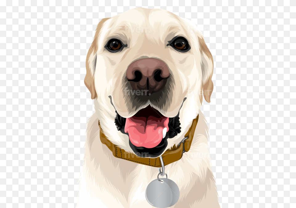 Draw High Quality Vector For Your Pet Or Any Animals Martingale, Animal, Canine, Dog, Mammal Free Transparent Png