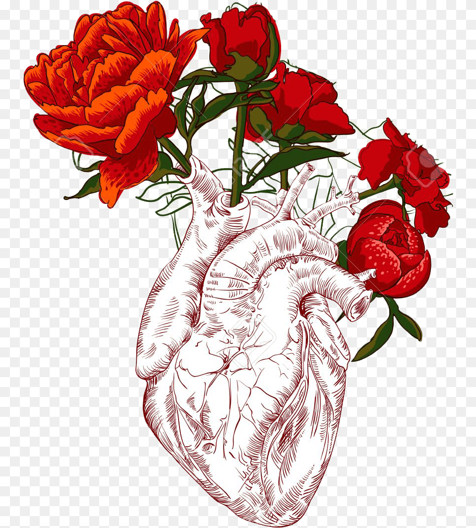Draw Human Heart With Flowers, Plant, Flower, Flower Arrangement, Flower Bouquet Png Image