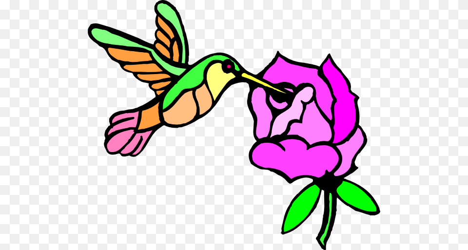 Draw Hummingbirds And Flower, Purple, Animal, Bird, Hummingbird Free Png Download