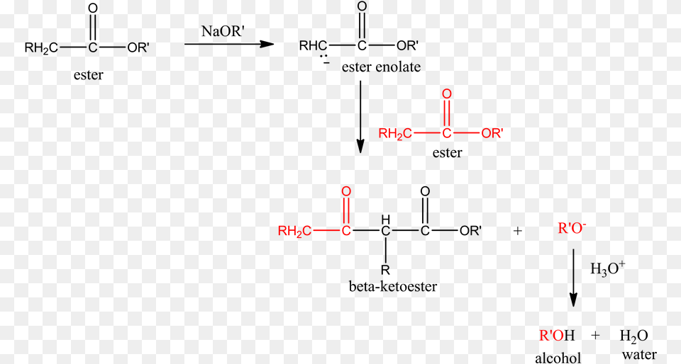 Draw The Main Product For The Ester Formed Through Png Image
