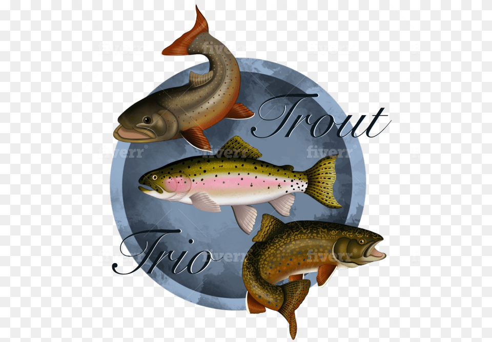 Draw You A Fish Logo Design By Nafeysart Coastal Cutthroat Trout, Animal, Sea Life Free Png