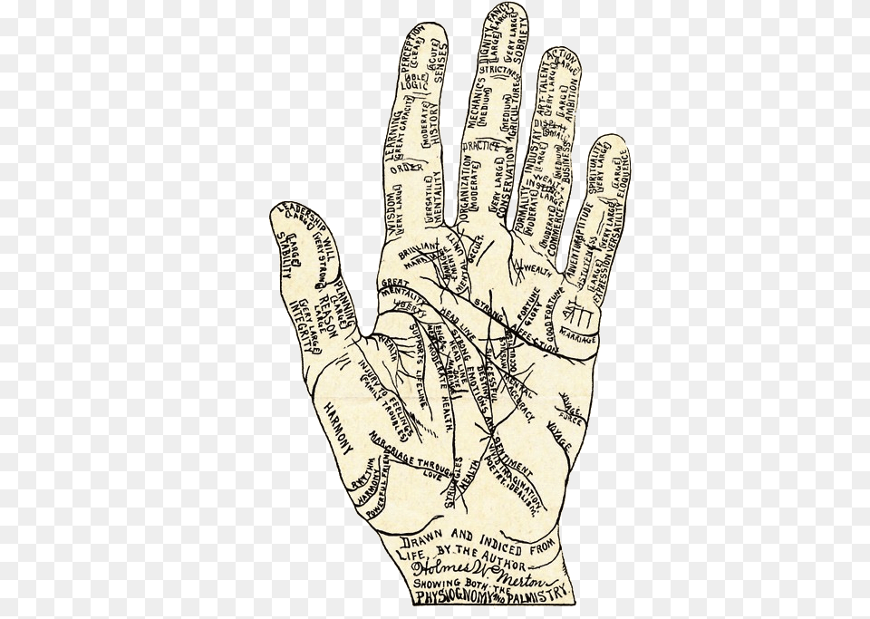 Drawing, Clothing, Glove, Body Part, Hand Free Transparent Png