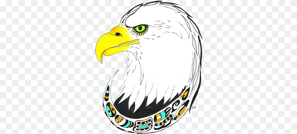 Drawing, Animal, Beak, Bird, Eagle Free Transparent Png