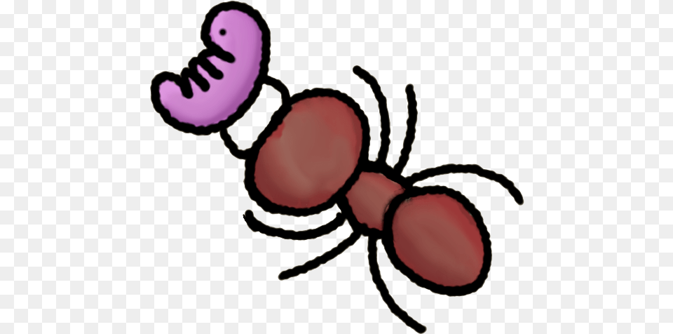 Drawing, Animal, Ant, Insect, Invertebrate Free Png