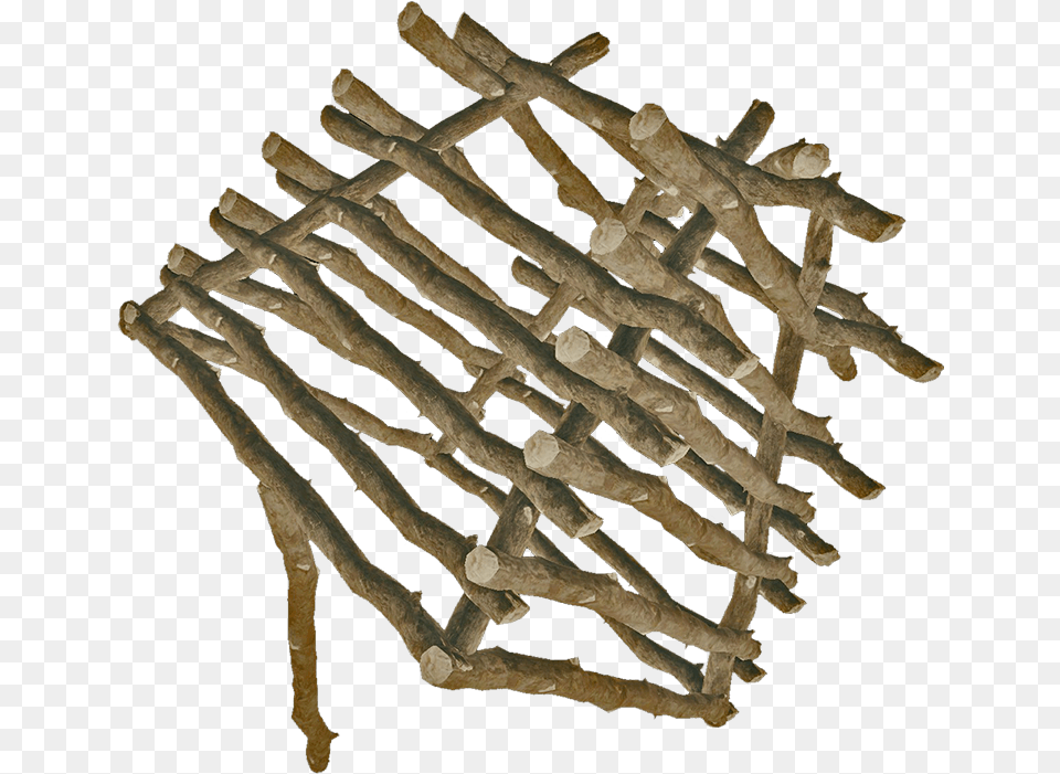 Drawing, Wood, Driftwood, Plant Png Image