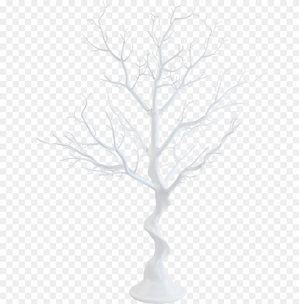 Drawing, Furniture, Plant, Potted Plant, Stand Free Transparent Png