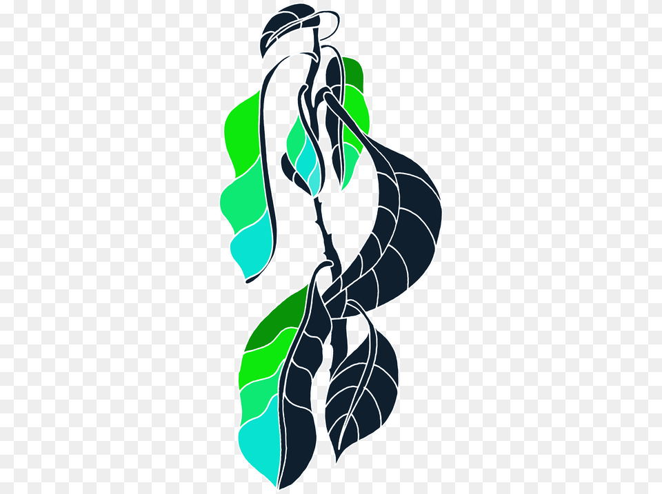 Drawing, Plant, Leaf, Tree, Art Png Image