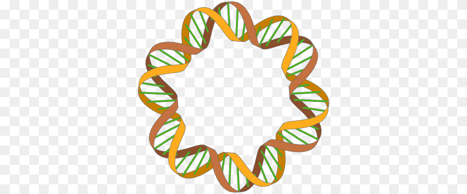 Drawing A Double Helix In Inkscape, Accessories, Bracelet, Dynamite, Jewelry Free Transparent Png