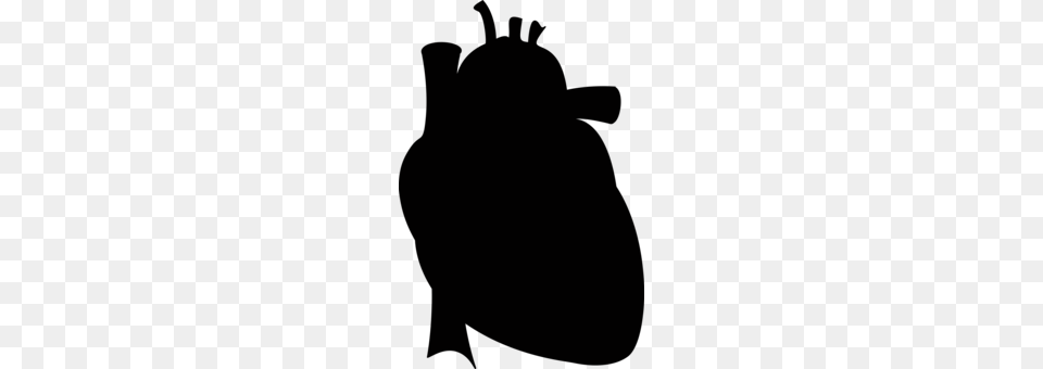 Drawing Anatomy Heart Diagram Organ, Bag, Pottery Free Transparent Png