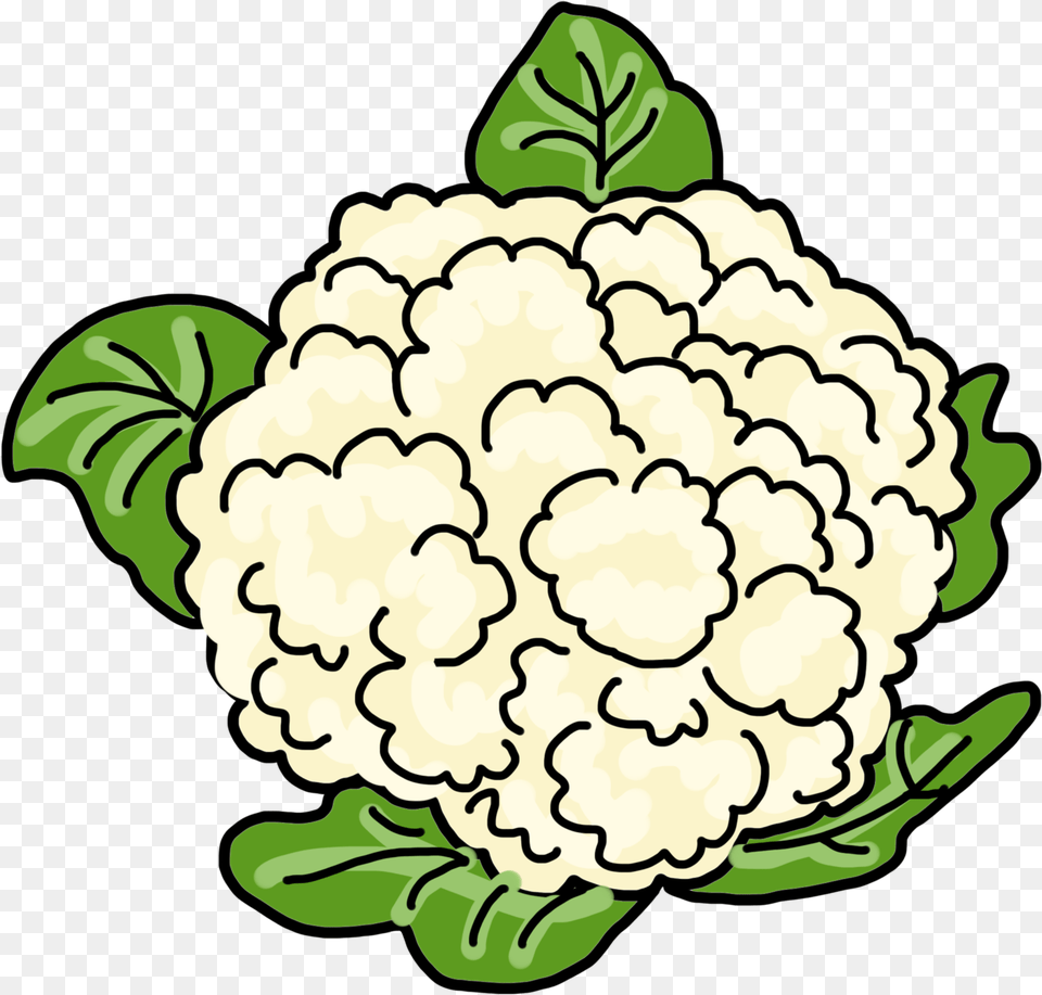 Drawing Animated Transparent Cauliflower Drawing, Food, Plant, Produce, Vegetable Png